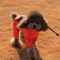 Load image into Gallery viewer, Winter Dog Coat - Windproof & Warm
