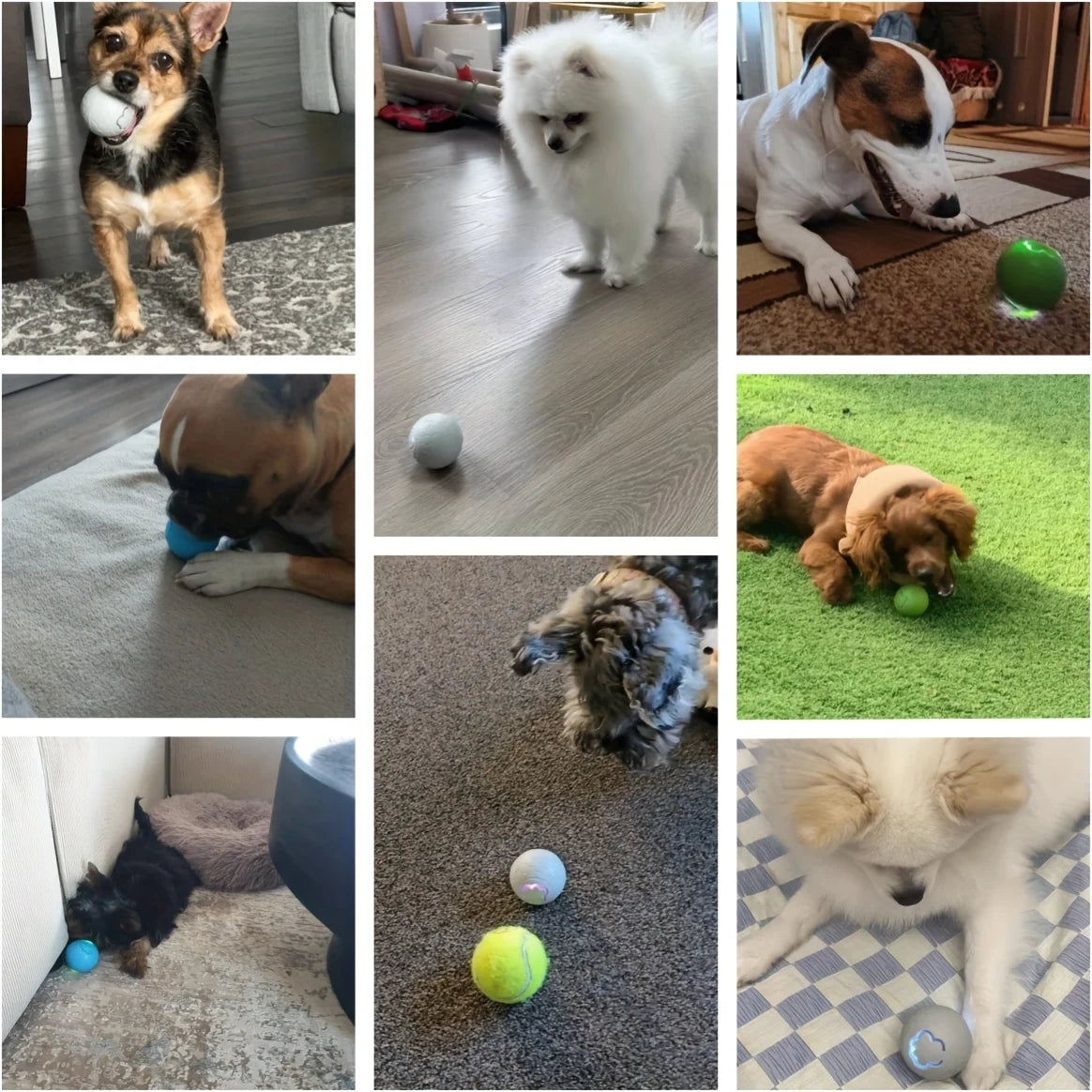 Interactive Pet Toy Ball with LED Lights & Auto Bounce