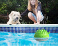 Load image into Gallery viewer, Interactive Floating Water Spray Dog Toy
