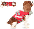 Load image into Gallery viewer, Reflective Adjustable Dog Life Jacket for Small Dogs
