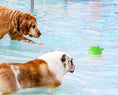 Load image into Gallery viewer, Interactive Floating Water Spray Dog Toy
