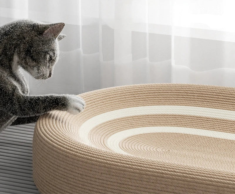 Premium Sisal Cat Scratcher & Cozy Bed