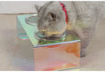 Load image into Gallery viewer, Iridescent Anti-Spill Pet Bowl Set - Elevated Comfort
